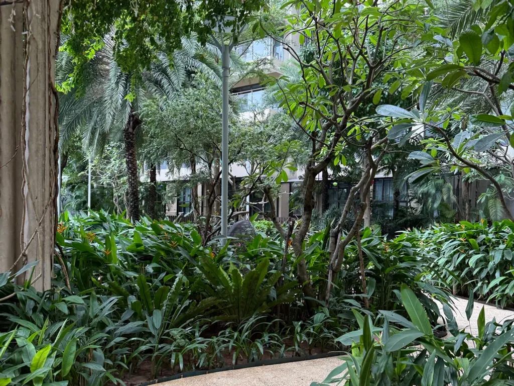 Landscape design and installation project in Port St. Lucie, FL