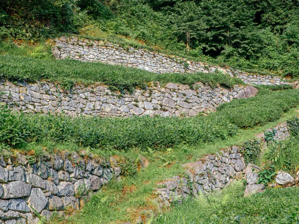 Retaining wall block and erosion control in Port St. Lucie, FL