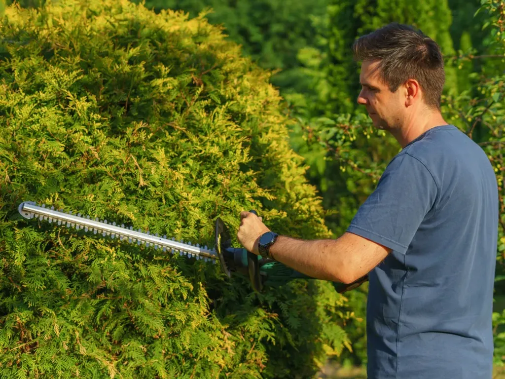 Tree and shrub planting in Port St. Lucie, FL